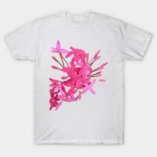 Pink Flowers of Florida T-Shirt